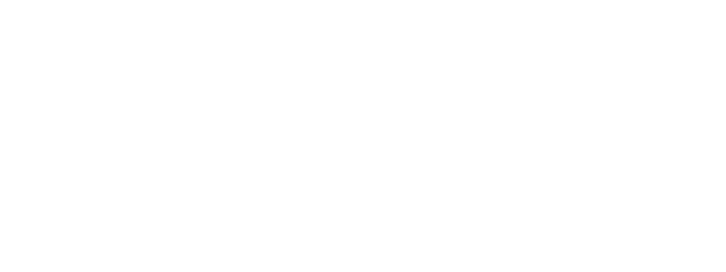 Geico